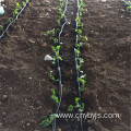 Vegetable irrigation drip irrigation